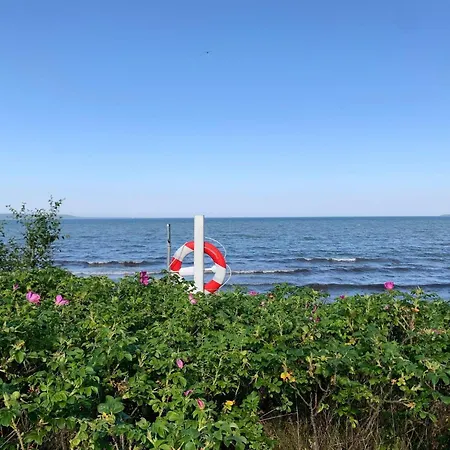 6 Person In Borkop-by Traum