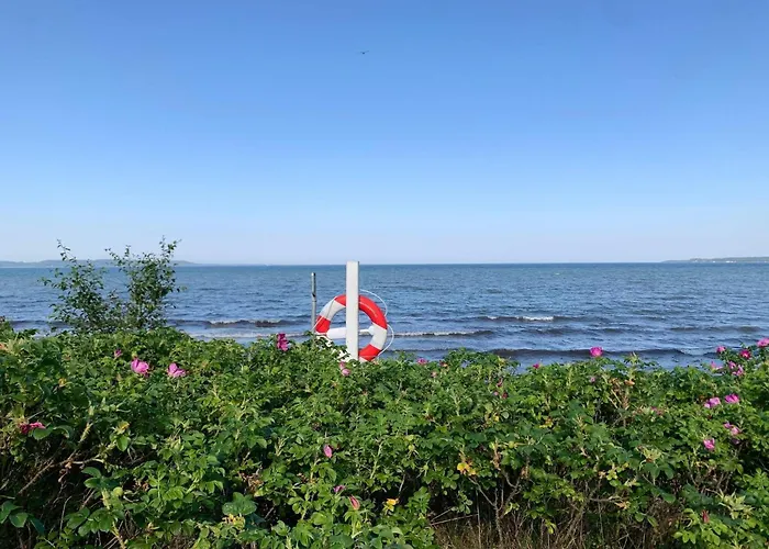 6 Person In Borkop-by Traum